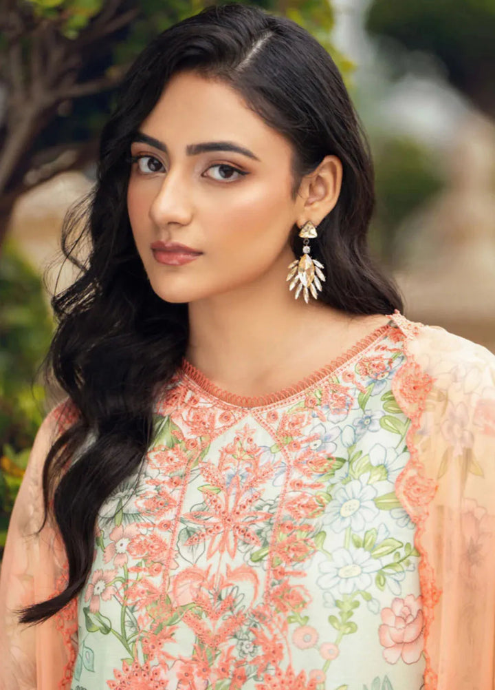 Diva By Humdum Embroidered Karandi Suit Unstitched 3 Piece HD24DK D-3 - Winter Collection