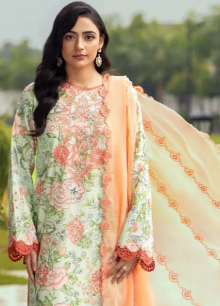 Diva By Humdum Embroidered Karandi Suit Unstitched 3 Piece HD24DK D-3 - Winter Collection