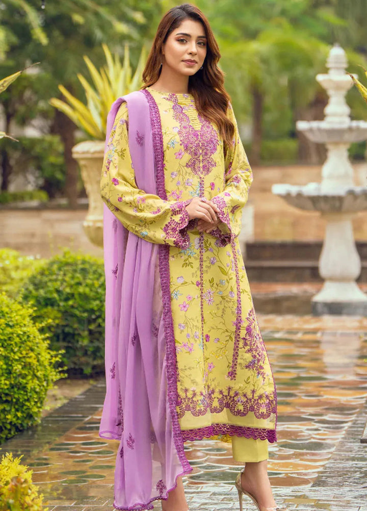 Diva By Humdum Embroidered Karandi Suit Unstitched 3 Piece HD24DK D-9 - Winter Collection