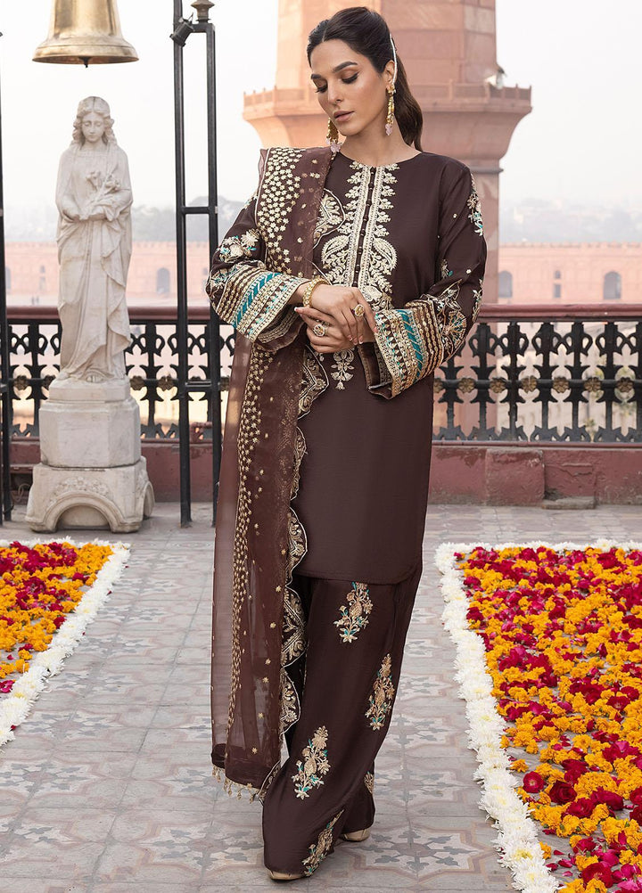 Durnaz By Sahane Embroidered Raw Silk Suits Unstitched 3 Piece SNE23DR BR-1203 Sonaar - Formal Collection