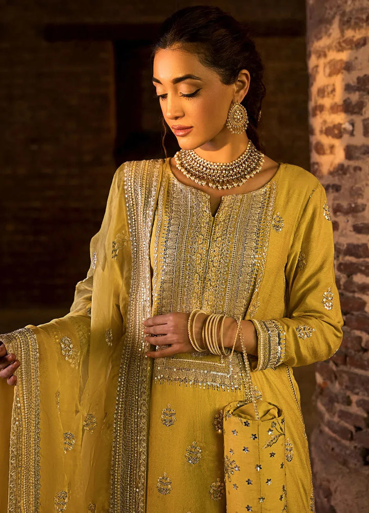 Erum Khan Pret Embroidered Cotton Net 3 Piece Suit Dil Araa