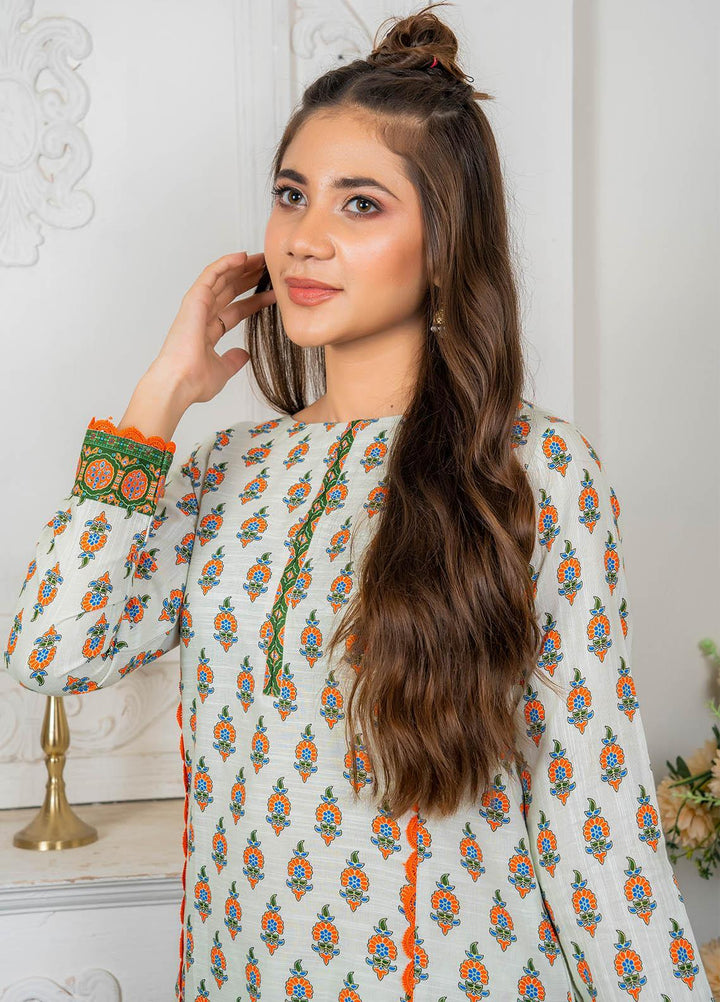 Eshaal Adina By AY Textile Printed Khaddar Suits Unstitched 2 Piece AYT22ES 11A - Winter Collection
