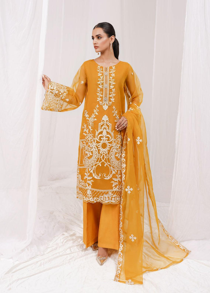Esra Fashion Festive Pret  Organza 2 Piece Suit ETO-01