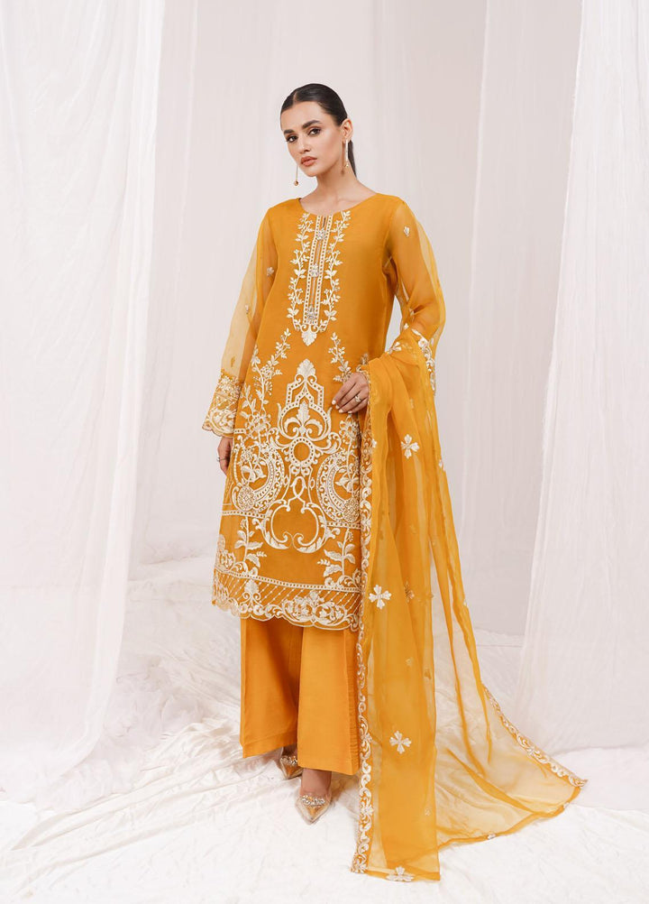 Esra Fashion Festive Pret  Organza 2 Piece Suit ETO-01