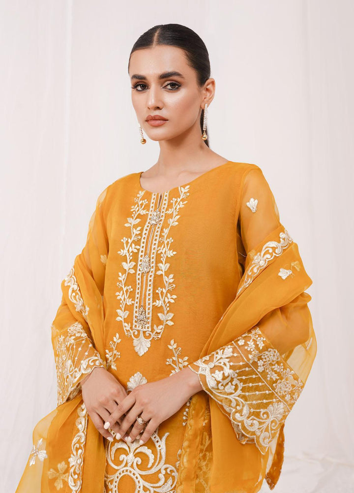 Esra Fashion Festive Pret  Organza 2 Piece Suit ETO-01