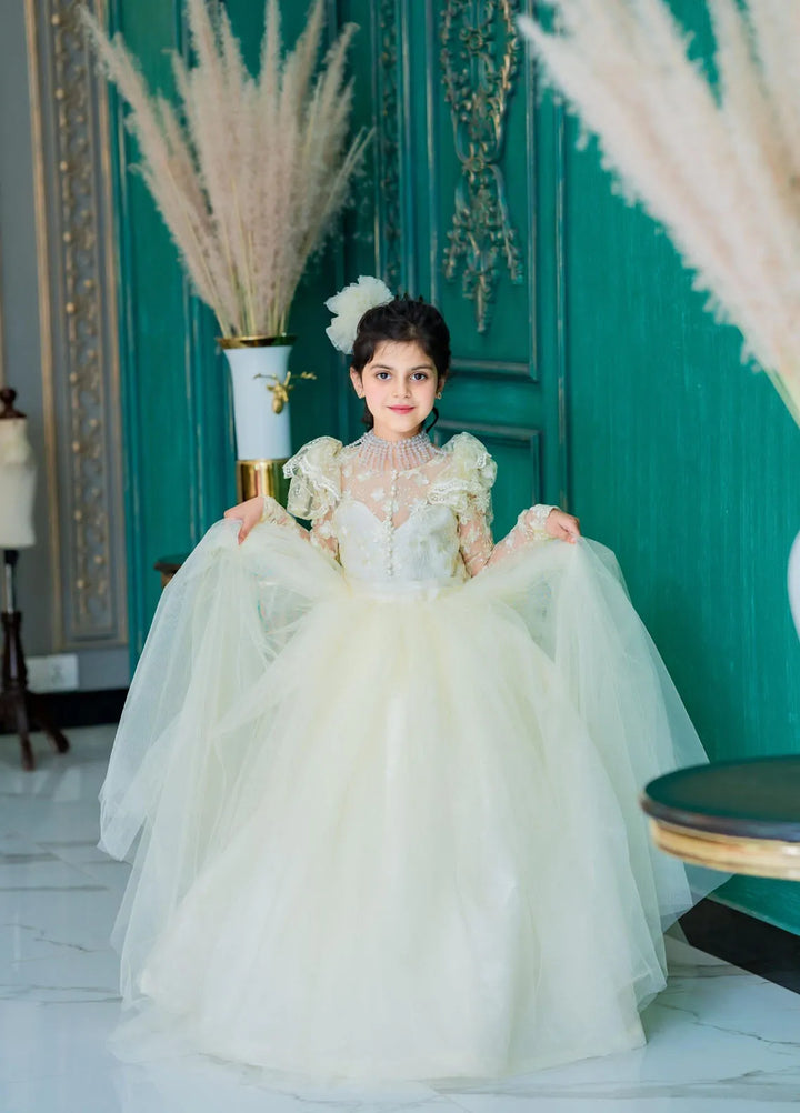 Fashion With Style Hub Pret Plain Net 1 Piece Whimsi Frock