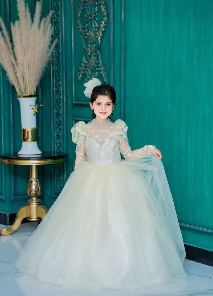 Fashion With Style Hub Pret Plain Net 1 Piece Whimsi Frock