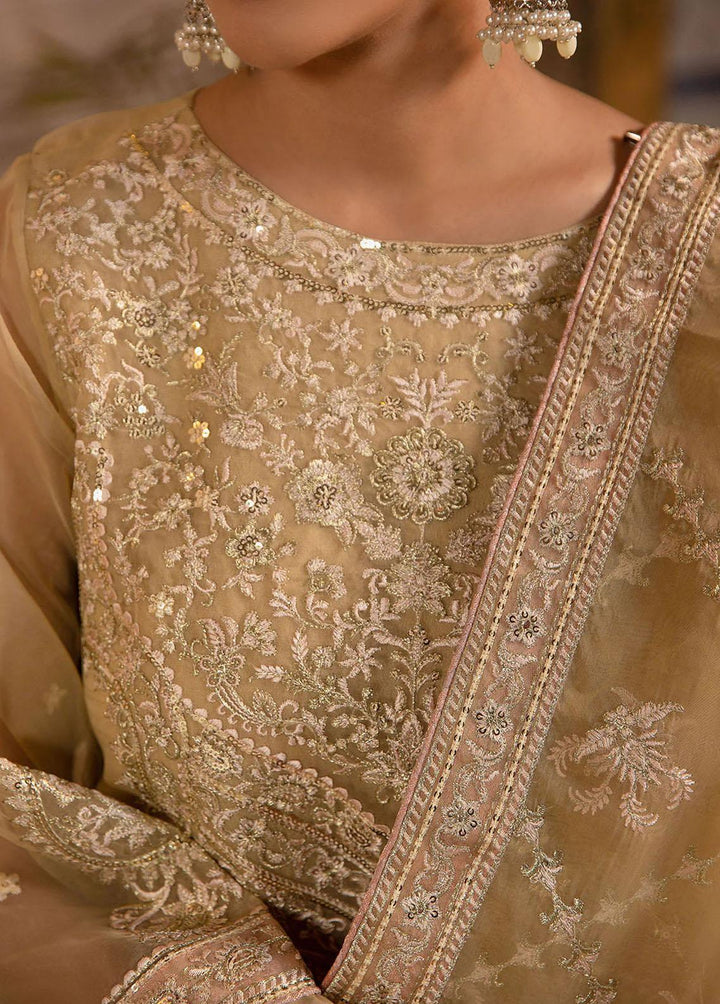 Fasl-e-Gul By Daud Abbas Embroidered Organza Suits Unstitched 3 Piece DA23FG DA-FC-0003 Aftab - Luxury Collection