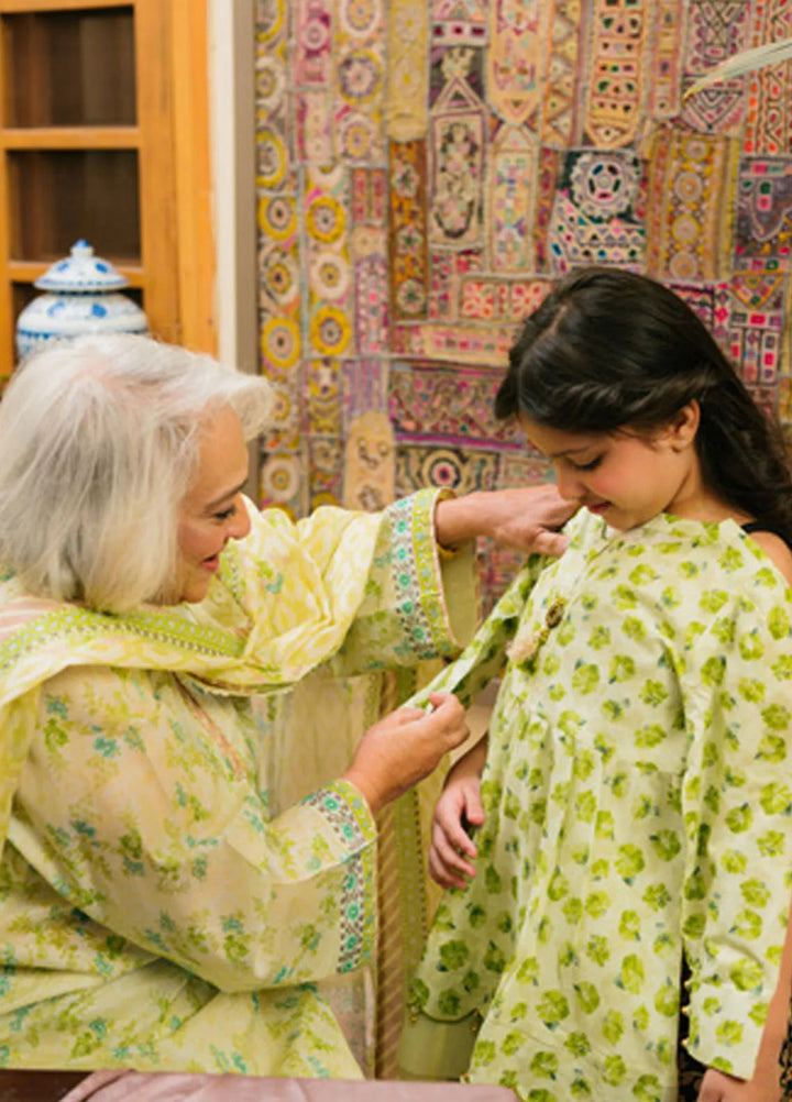 Gul Ahmed Printed Lawn Suits Unstitched 3 Piece GA25TM CL-52126 B - Summer Collection