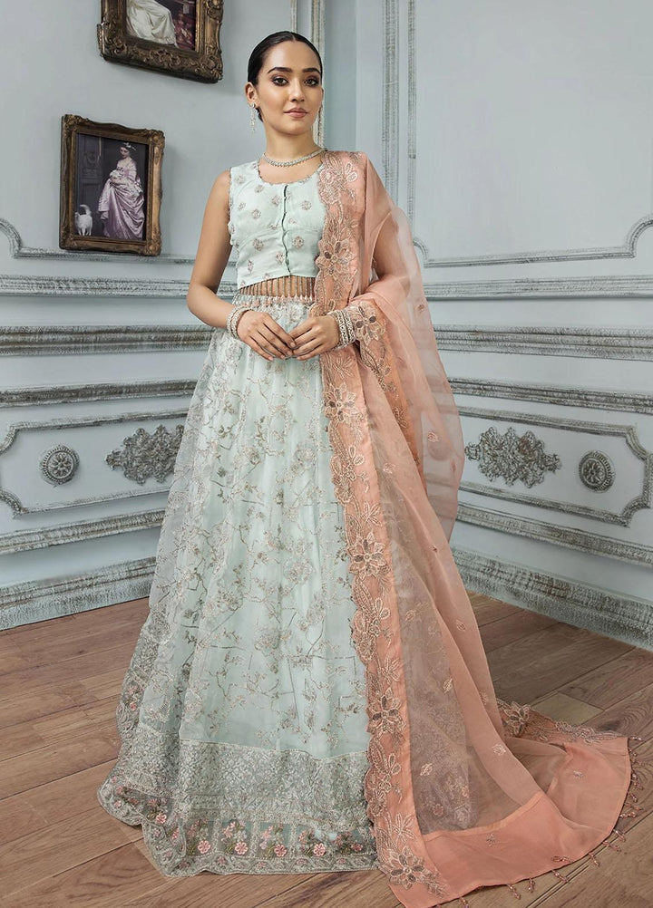 Gul Meera by House of Nawab Embroidered Organza Suits Unstitched 3 Piece HON21GM 02 MONIRA - Luxury Formals Collection