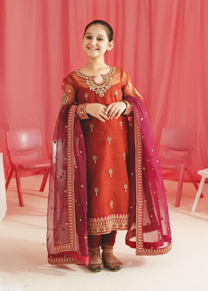 Gulaal Pret Embroidered Organza 3 Piece Suit GL-KW-23-08