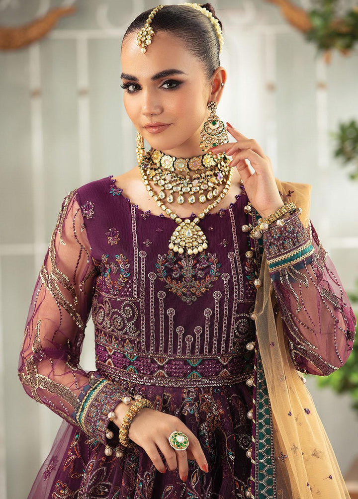 Gulmira By House of Nawab Embroidered Net Suits Unstitched 3 Piece HON23G3 D-10 Afak - Luxury Collection
