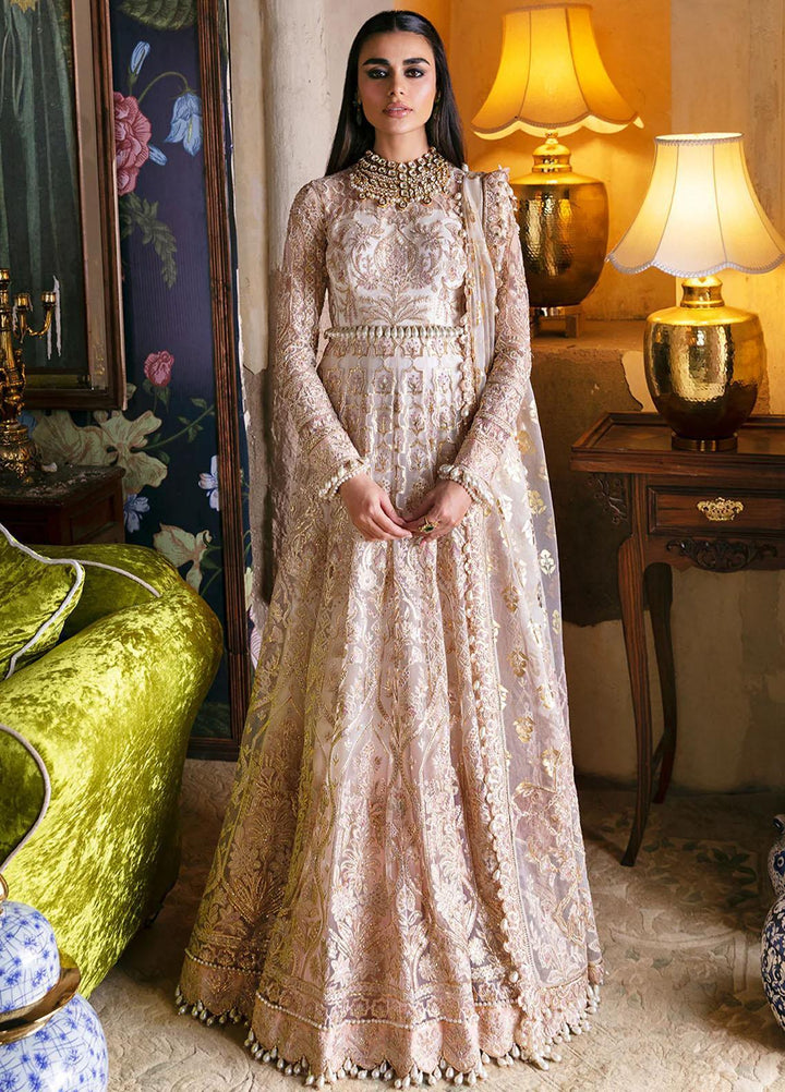 Hayat By Afrozeh Embroidered Net Suits Unstitched 3 Piece AF23HY D-03 Sheemah - Wedding Collection