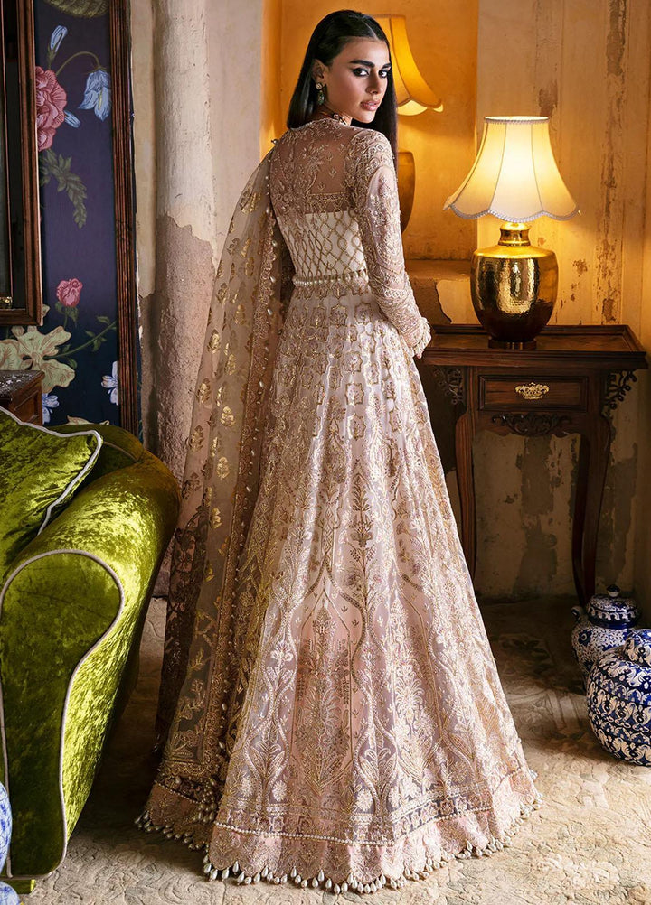 Hayat By Afrozeh Embroidered Net Suits Unstitched 3 Piece AF23HY D-03 Sheemah - Wedding Collection