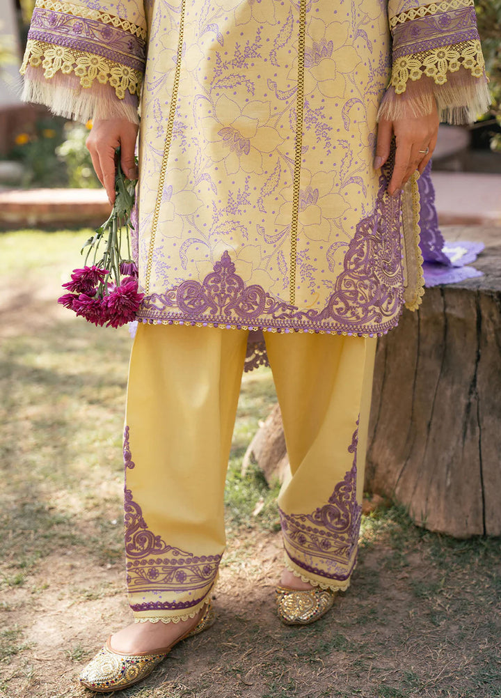 Hazel by Bin Ilyas Embroidered Lawn Suits Unstitched 3 Piece BI25HZ 2074A - Summer Collection
