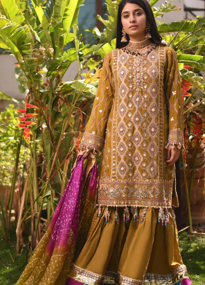 Heer by Hadia Eman Embroidered Cotton Net Suits Unstitched 3 Piece HE21H D-03 - Luxury Collection