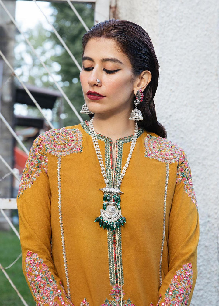 Hussain Rehar Embroidered Karandi Suits Unstitched 3 Piece HRR22AW Paras - Winter Collection