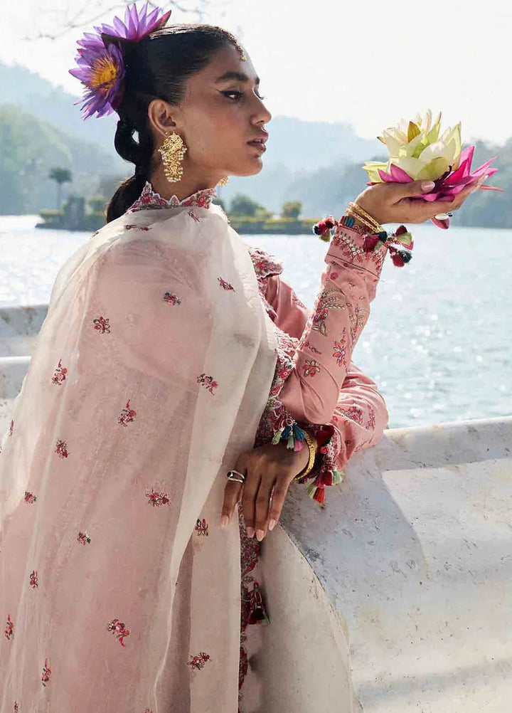 Hussain Rehar Embroidered Lawn Suit Unstitched 3 Piece HRR25LL D-07 Peaar - Summer Collection