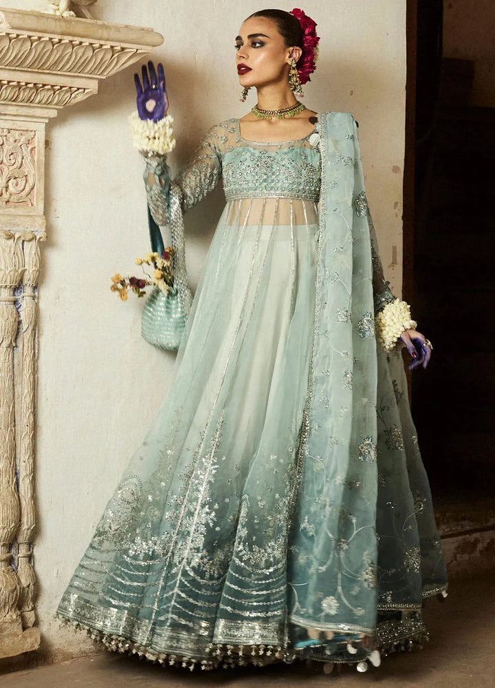 Hussain Rehar Embroidered Organza Suit Unstitched 3 Piece HRR24F Maaiya - Formal Collection