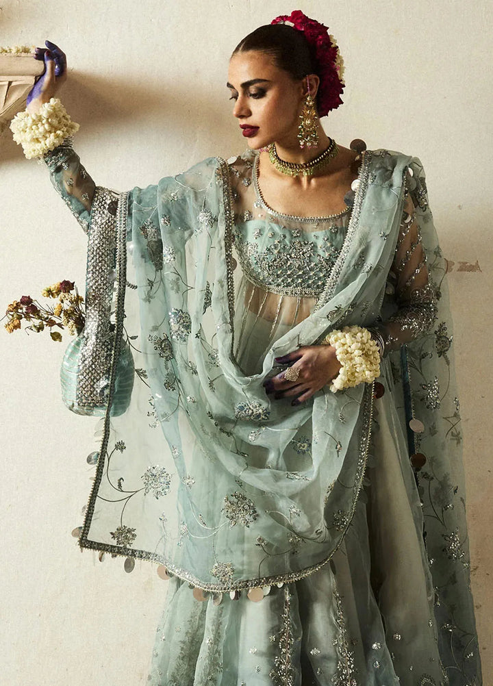 Hussain Rehar Embroidered Organza Suit Unstitched 3 Piece HRR24F Maaiya - Formal Collection