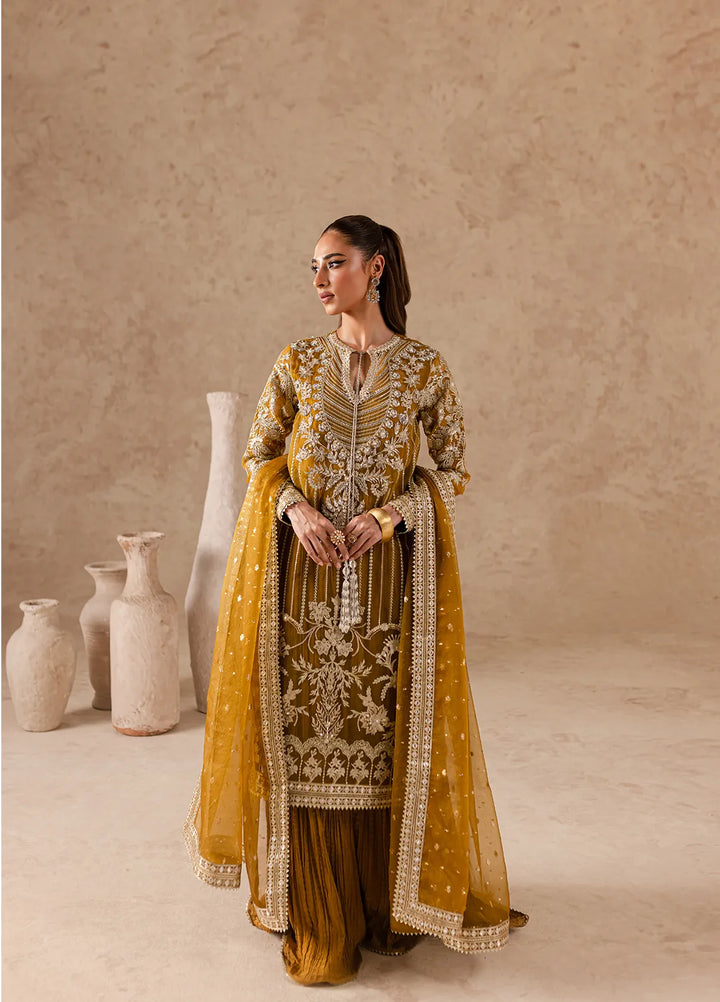 Imran Ramzan Embroidered Organza Suits Unstitched 3 Piece IR24C Aeliana - Formals Collection