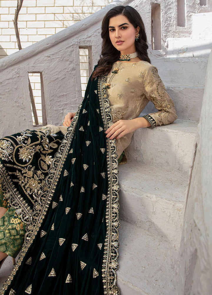 De Velour By Imrozia Premium Embroidered Zari Suits Unstitched 3 Piece IMP22DV I.V-10 Hoor - Luxury Collection