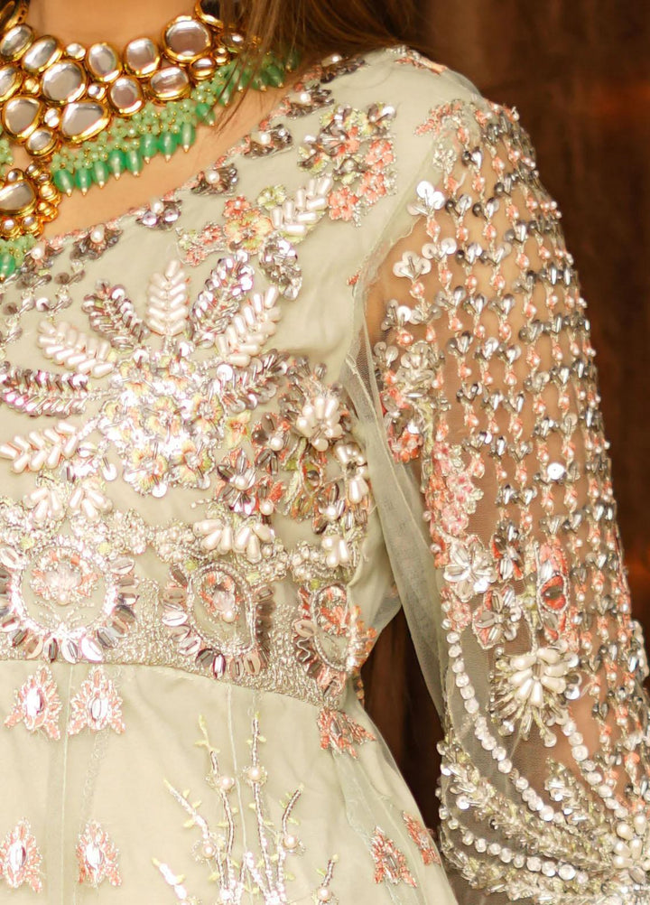 Insiya Clothing Embroidered Net Suits Unstitched 3 Piece INS23WF Design Code 01 - Festive Collection