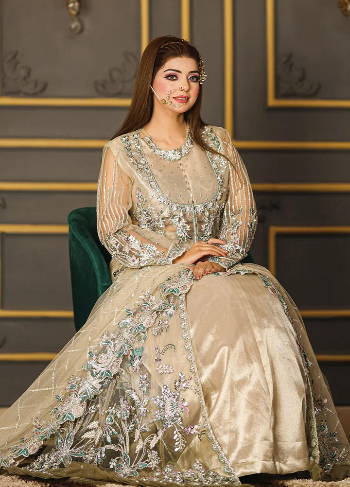 Insiya Clothing Embroidered Net Suits Unstitched 3 Piece INS23WF Design Code 03 - Festive Collection