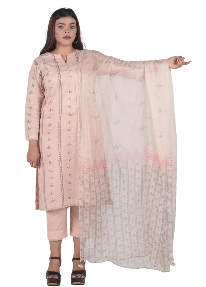 Vibgyor Fashion Pret Printed Lawn 3 Piece Suit D11-23S AFREEN SKIN