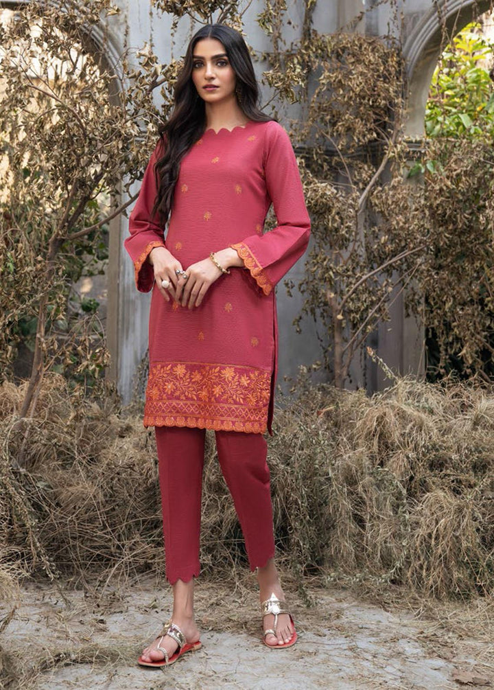 Resham Ghar Embroidered Khaddar Suits Unstitched 2 Piece RG21IR IN 04 - Winter Collection