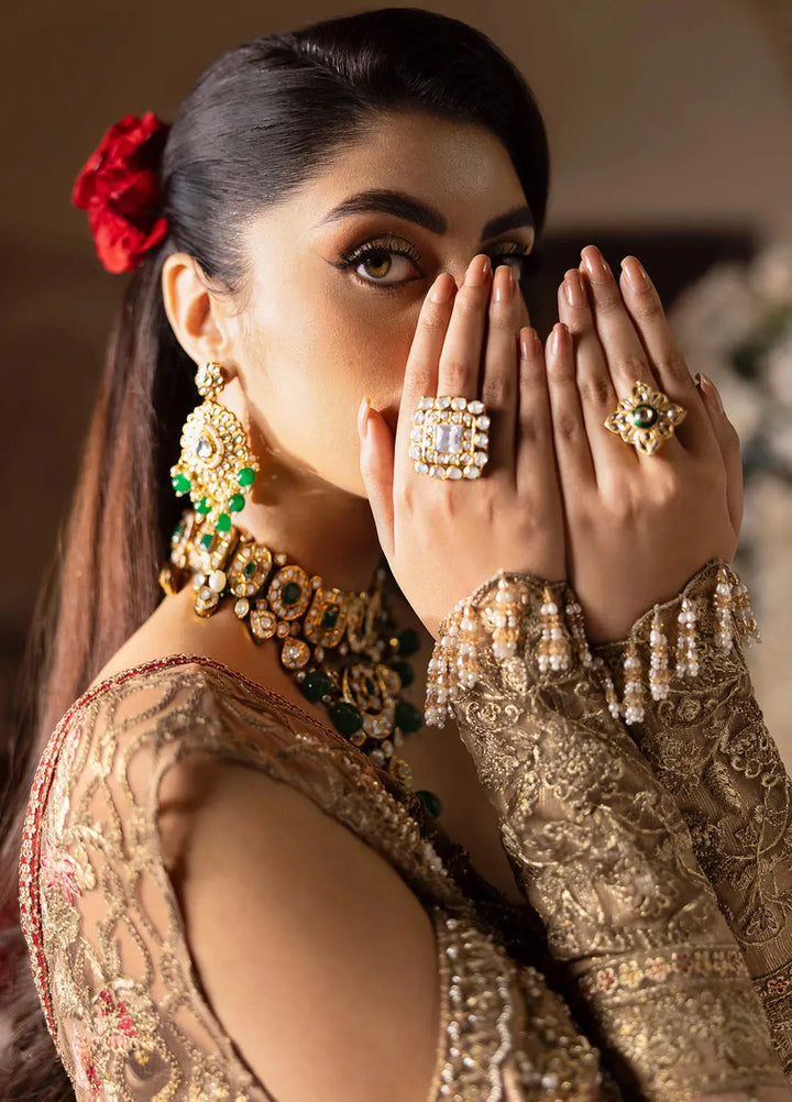 Jashn by Imrozia Serene Embroidered Net Suit Unstitched 4 Piece IM25J SB-37 Zarnigar - Formals Collection