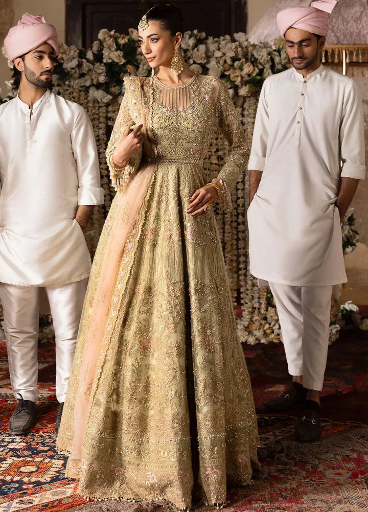 Jashn by Imrozia Serene Embroidered Net Suit Unstitched 4 Piece IM25J SB-39 Rekhta - Formals Collection