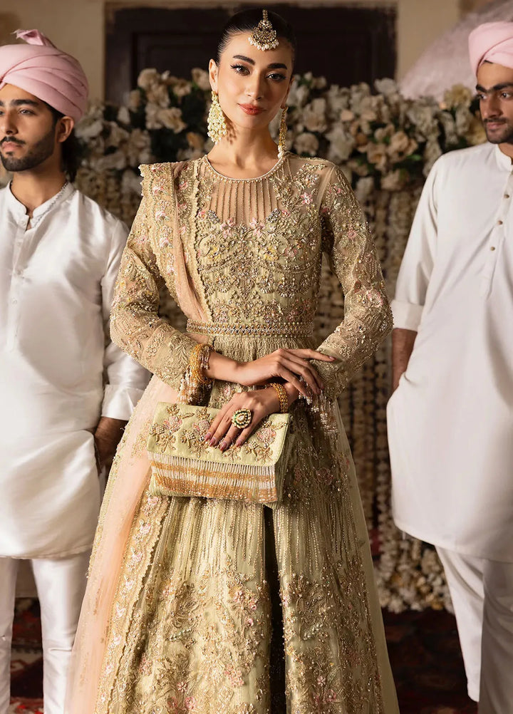 Jashn by Imrozia Serene Embroidered Net Suit Unstitched 4 Piece IM25J SB-39 Rekhta - Formals Collection