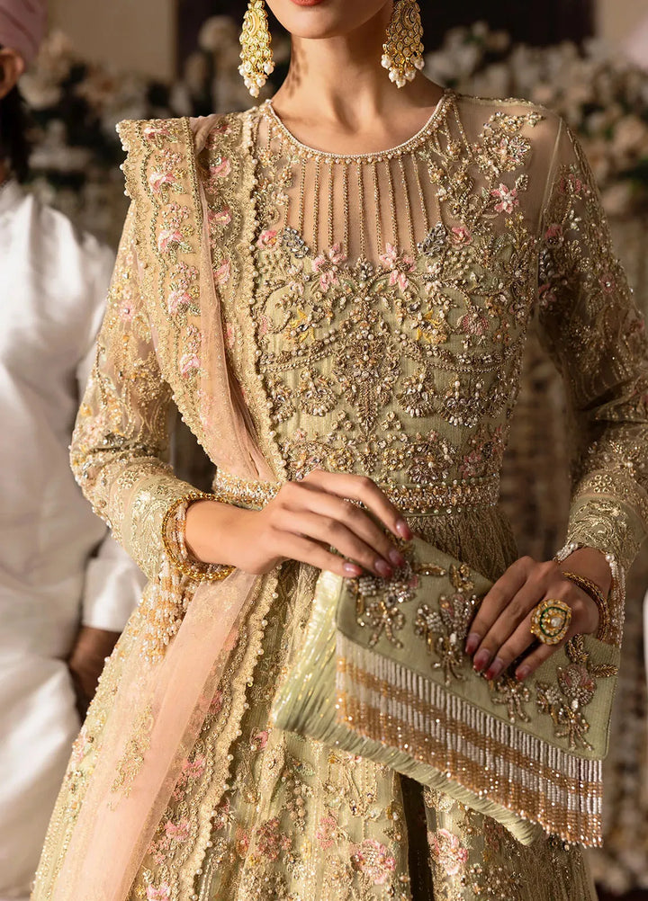 Jashn by Imrozia Serene Embroidered Net Suit Unstitched 4 Piece IM25J SB-39 Rekhta - Formals Collection