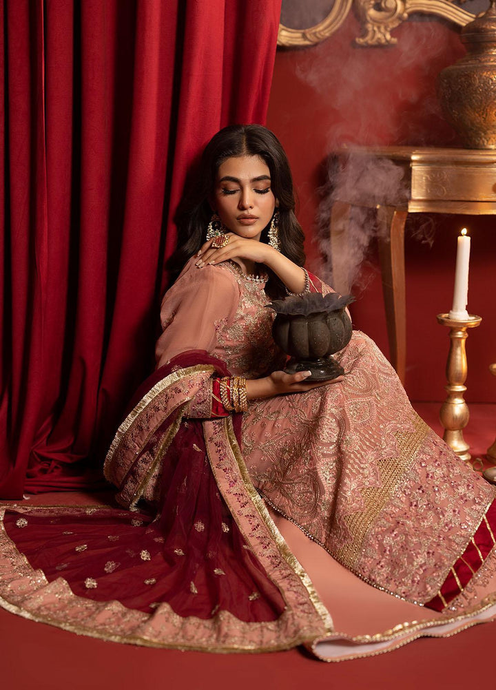 Khawab Deeda By Sahane Embroidered Chiffon Suits Unstitched 4 Piece SNE23KD KD-1101 Dutchess - Formal Collection