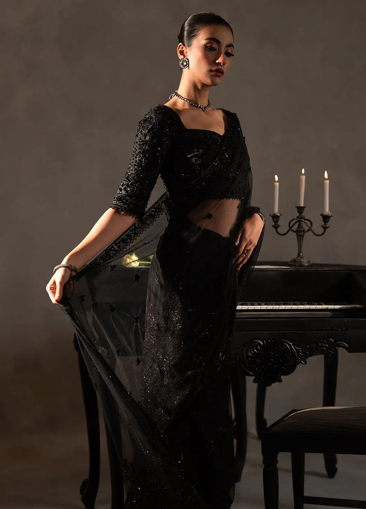 Khurshid Pret Embroidered Raw Silk Saree Onyx