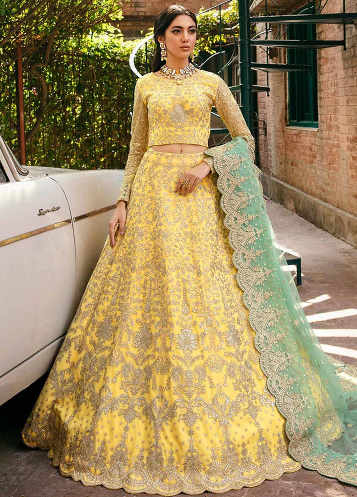 Layali Formals By Akbar Aslam Embroidered Net Suits Unstitched 3 Piece AA23L Ilona - Luxury Formal Collection