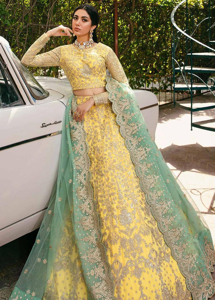 Layali Formals By Akbar Aslam Embroidered Net Suits Unstitched 3 Piece AA23L Ilona - Luxury Formal Collection