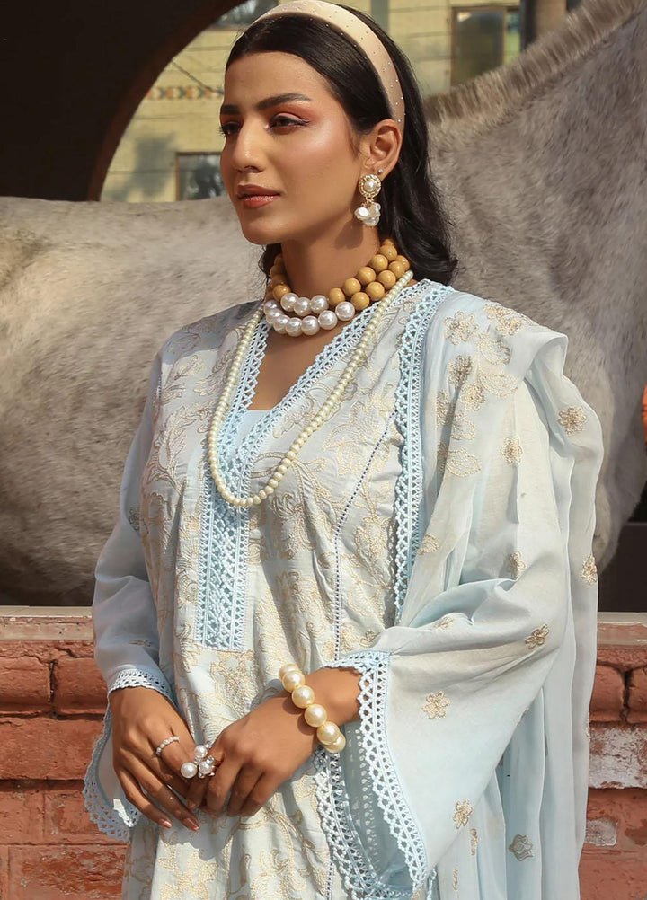 Mahnur Embroidered Lawn Suits Unstitched 3 Piece MN23L-V2 D-06 - Summer Collection