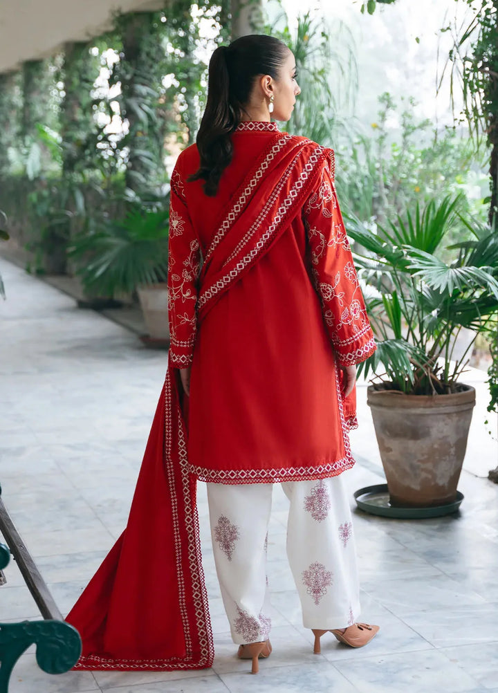 Mannat Clothing Pret Embroidered Khaddar 3 Piece Suit Ravish