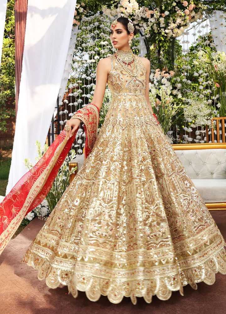 Maryum N Maria Embroidered Net Suits Unstitched 3 Piece MNM21B MBM-0013 Passion Fling - Bridal Collection