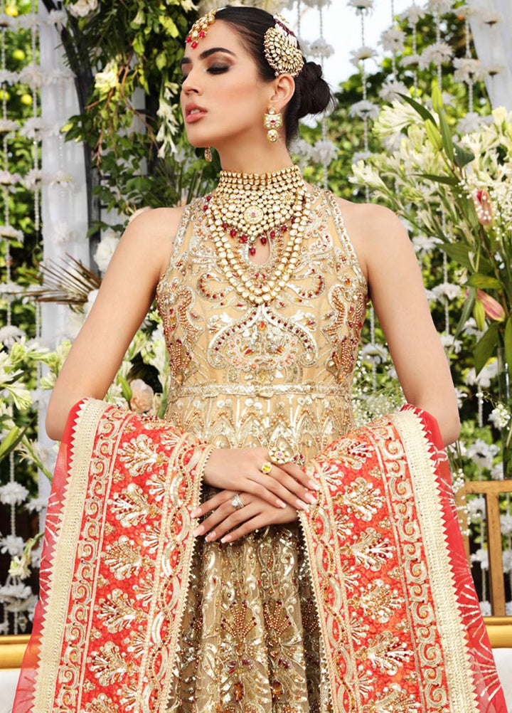 Maryum N Maria Embroidered Net Suits Unstitched 3 Piece MNM21B MBM-0013 Passion Fling - Bridal Collection