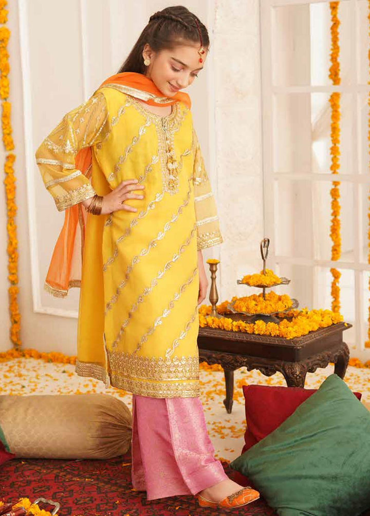 Maryum N Maria Organza Embroidered Girls 3 Piece Suit - MNM21K MKD 18