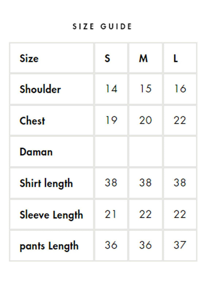 AJR Couture - Abbas Jamil Rajpoot Pret Embroidered Raw silk 3 Piece Suit Nagar