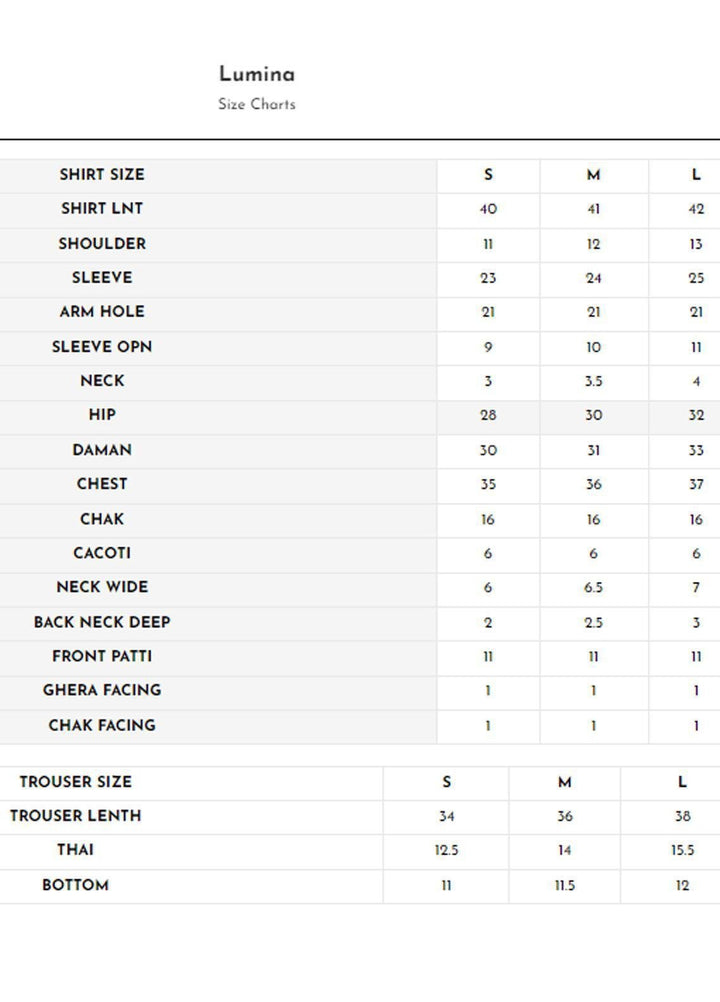 Meerak Pret Printed Raw Silk 2 Piece Suit Lumina