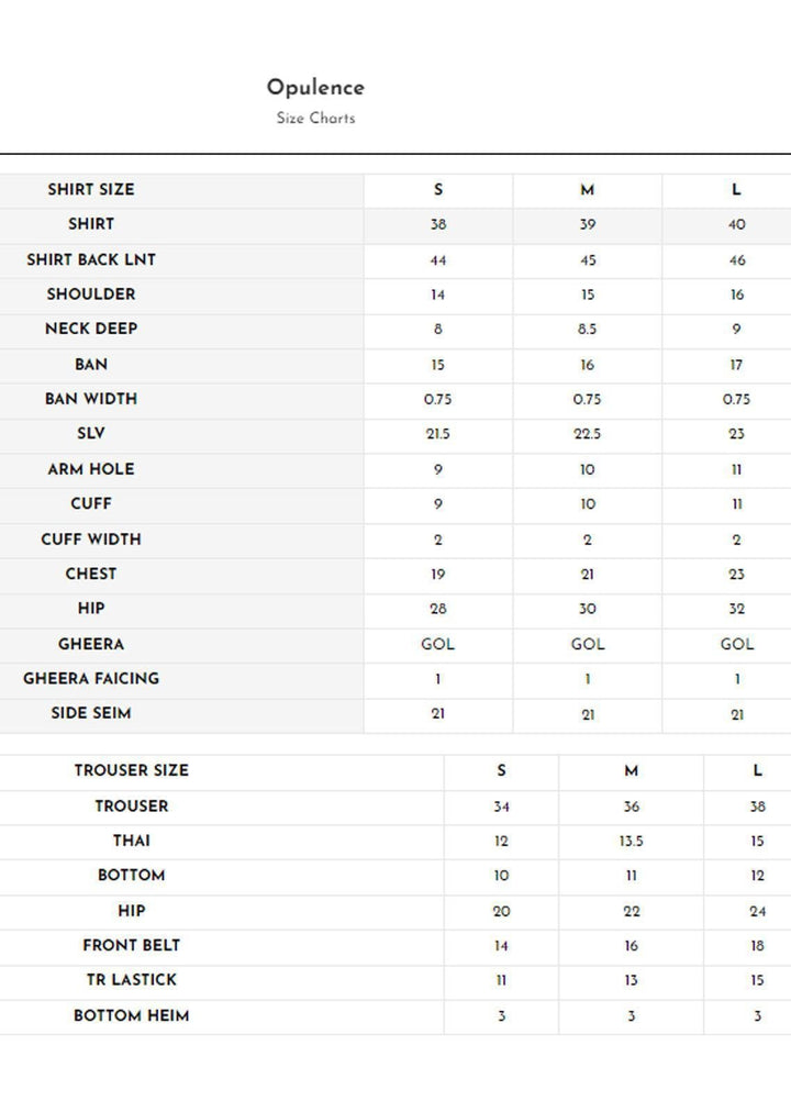 Meerak Pret Printed Raw Silk 2 Piece Suit Opulence