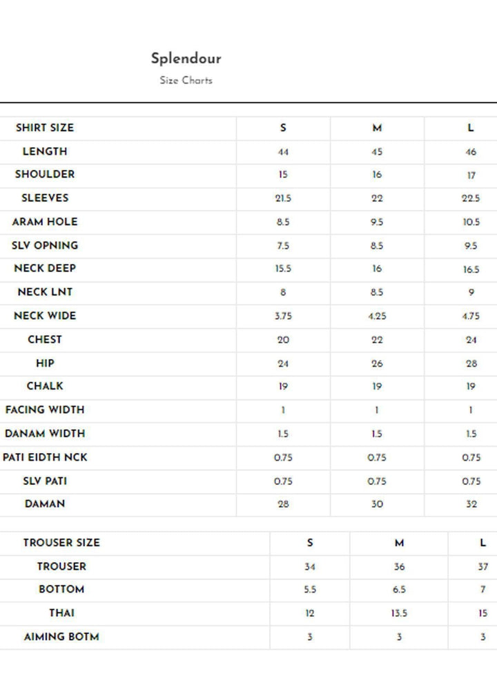 Meerak Pret Printed Raw Silk 2 Piece Suit Splendour