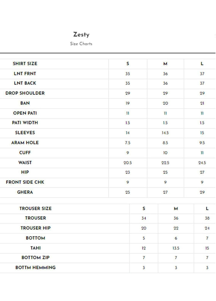 Meerak Pret Printed Raw Silk 2 Piece Suit Zesty