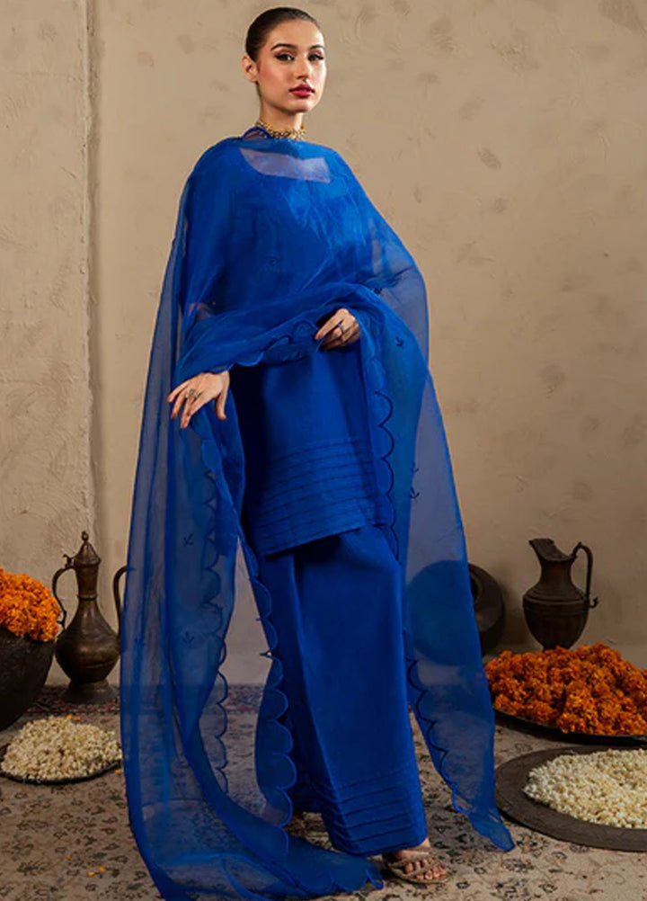 Meeral Pret Plain Raw Silk 2 Piece Suit SOL-002-V2