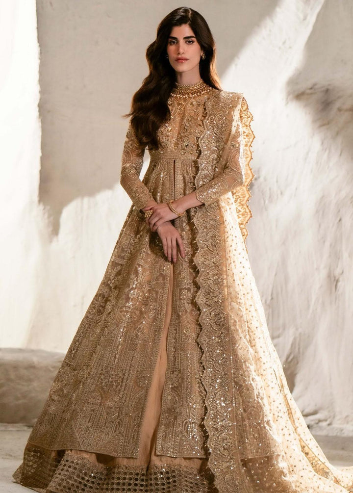 Mehr O Maah By Maryum N Maria Embroidered Organza Suits Unstitched 3 Piece MNM24MM MW23-531 Midge - Luxury Collection